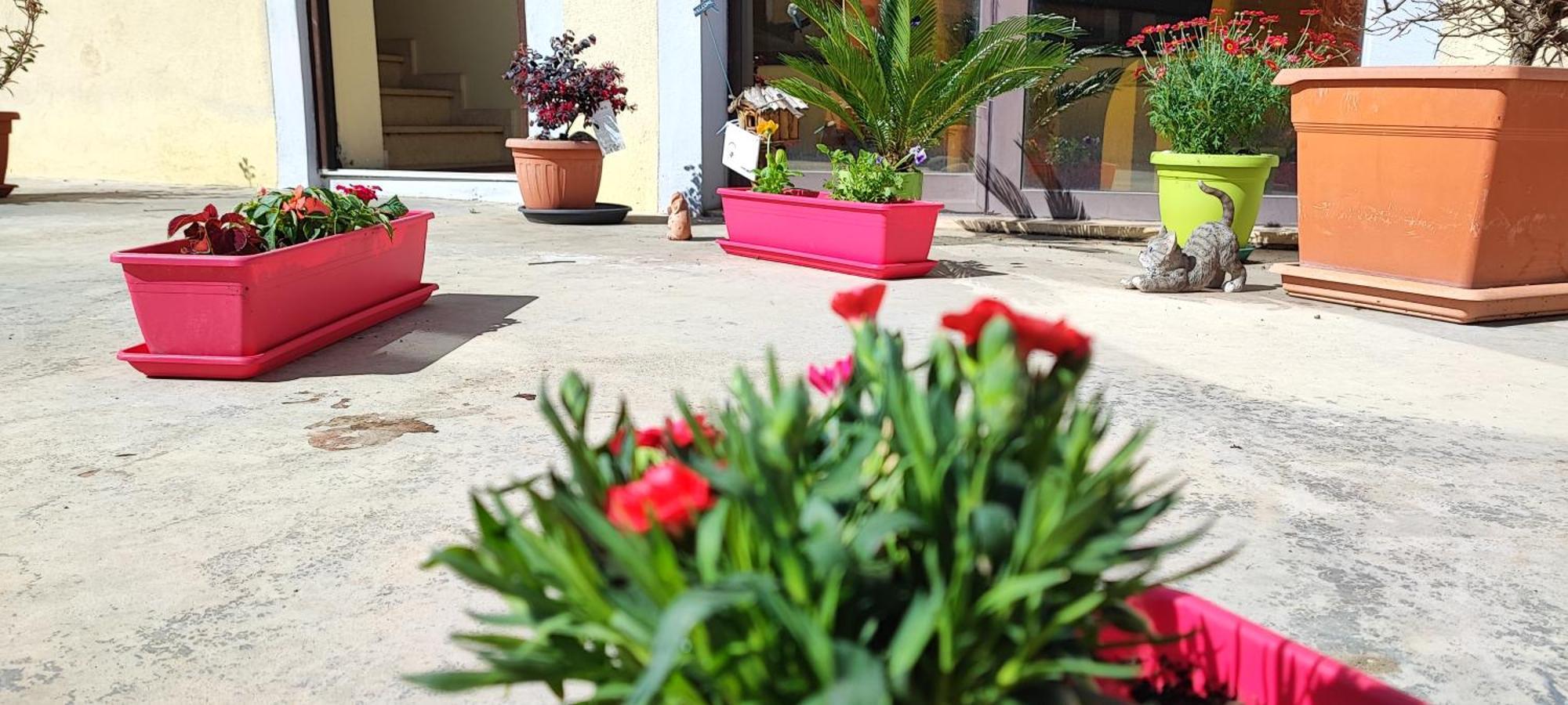 B&B Gioia Καταντζάρο Εξωτερικό φωτογραφία
